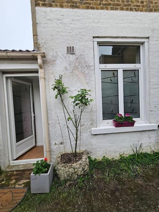 Studio Avec Jardin Rosendael Proche Plage Dunkirk Exterior foto